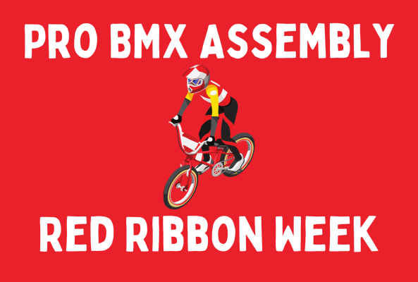 Pro BMX Assembly