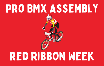 Pro BMX Assembly